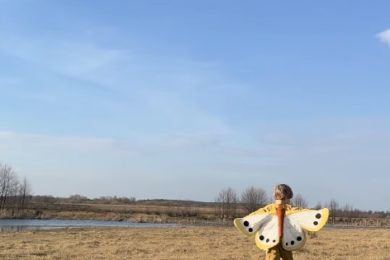 skrzydła motylka przebranie kid's concept