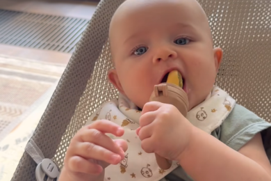 leżaczek babybjorn szary beż