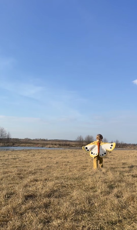 skrzydła motylka przebranie kid's concept