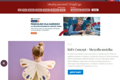 zabawkowicz przebrania kids cocnept
