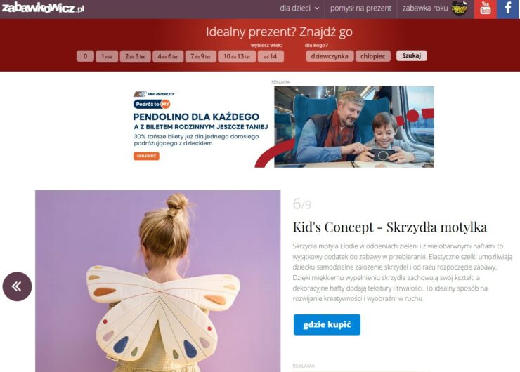 zabawkowicz przebrania kids cocnept